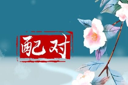 车牌吉凶测算2026|车牌测号码吉凶查询|测算车牌号码|试车牌号码吉凶|车牌号吉凶占卜